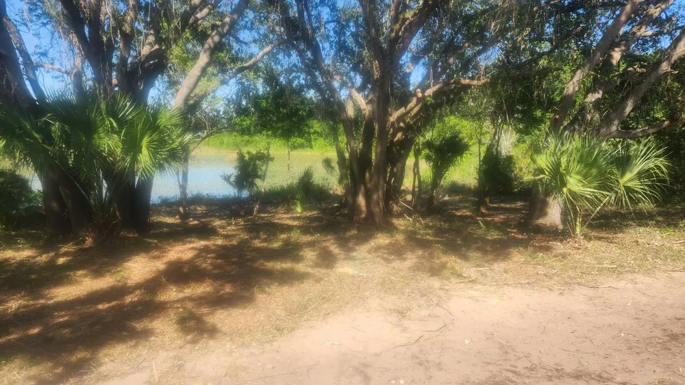 Trusted landscaping services in Orlando, FL - L & J Landscape Design and Maintenance