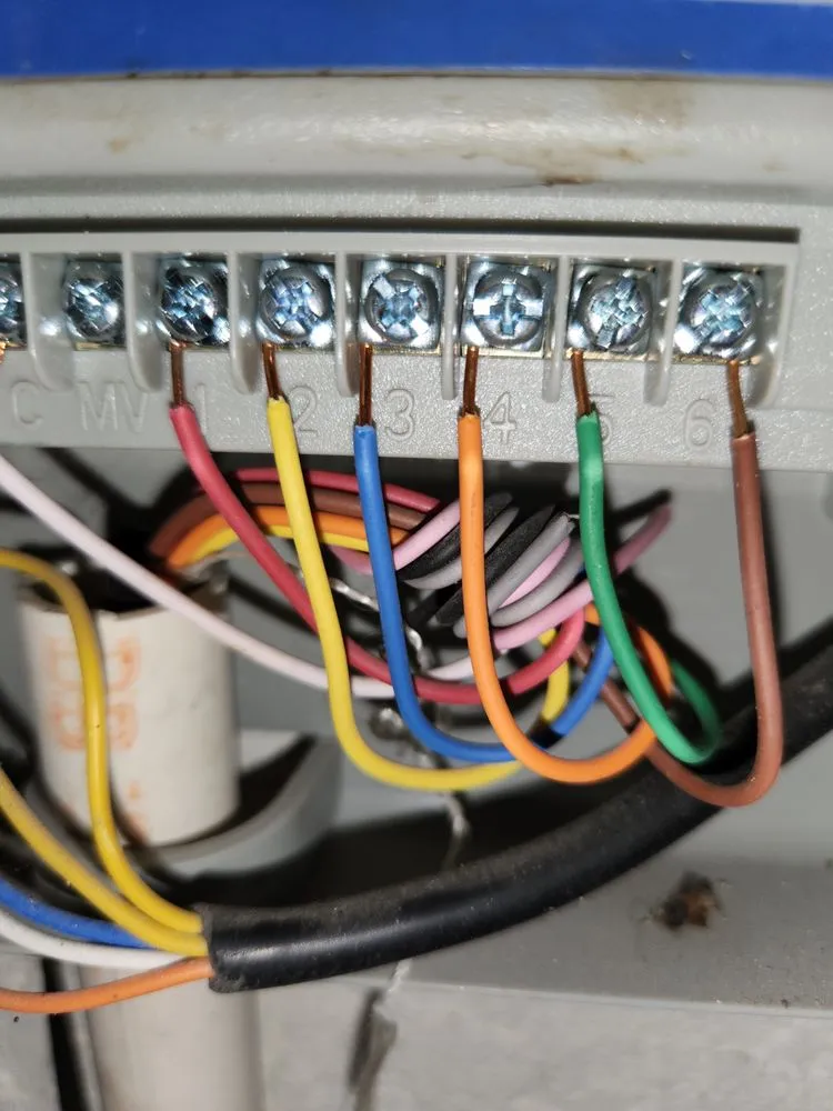 Expert garden landscaping experts serving Orlando, FL - L & J Landscape Design and Maintenance