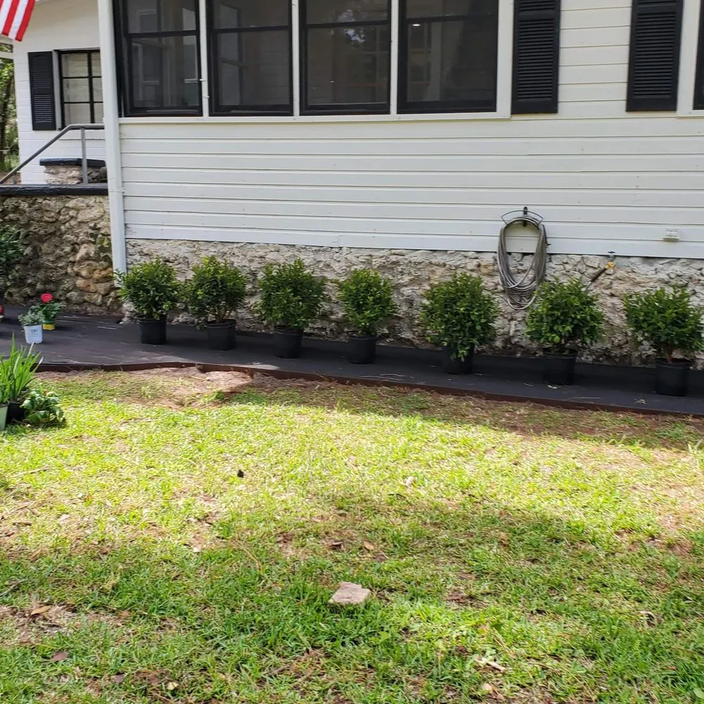 Affordable landscaping services in Orlando, FL by L & J Landscape Design and Maintenance