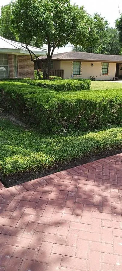 Custom landscape design in Palmview, TX - L & J Landscaping