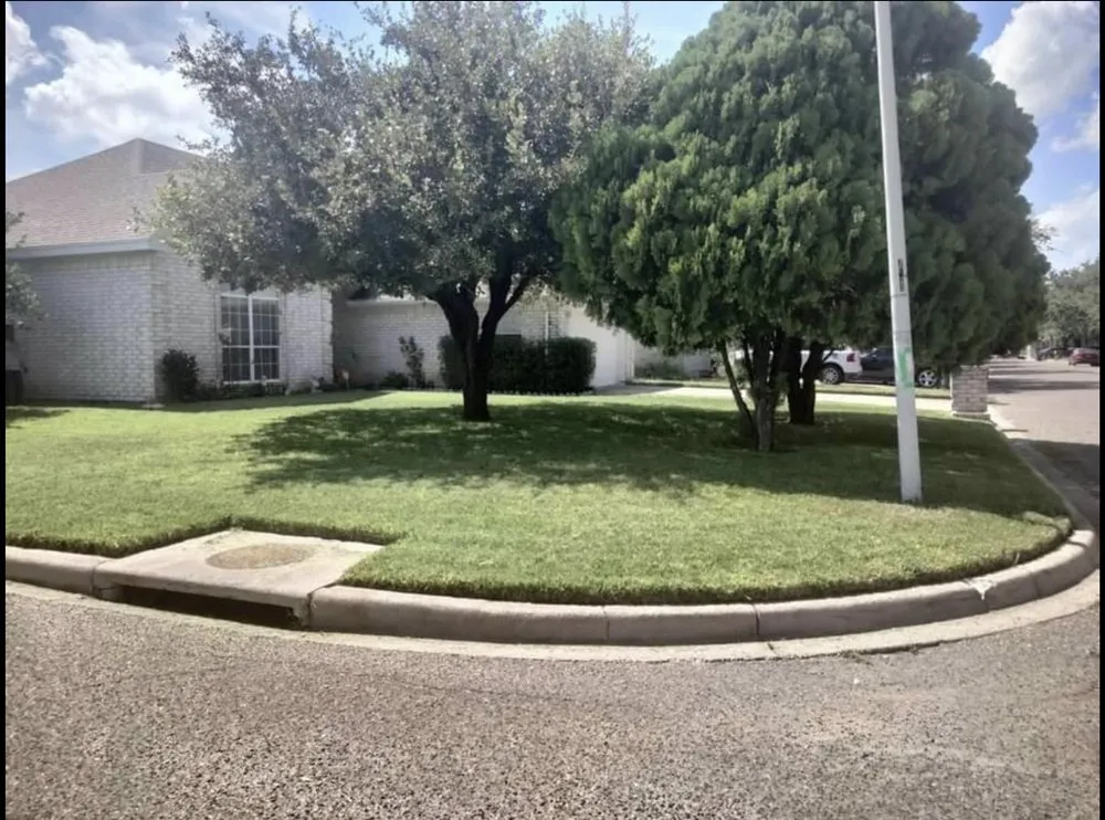 Trusted lawn mowing service in Palmview, TX - L & J Landscaping