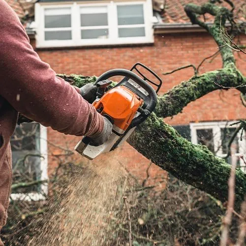 Trusted lawn care service in Danbury, CT - L & J Masonry & Tree Service