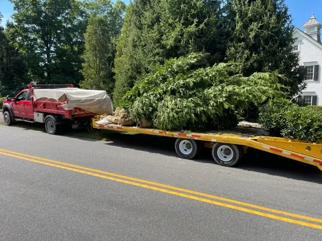 Reliable landscape design in Danbury, CT - L & J Masonry & Tree Service