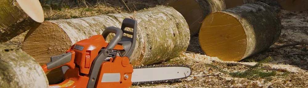 Trusted landscape installation experts serving Danbury, CT - L & J Masonry & Tree Service