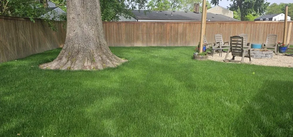 Expert yard cleanup service experts serving Virginia Beach, VA - L & J's Designs