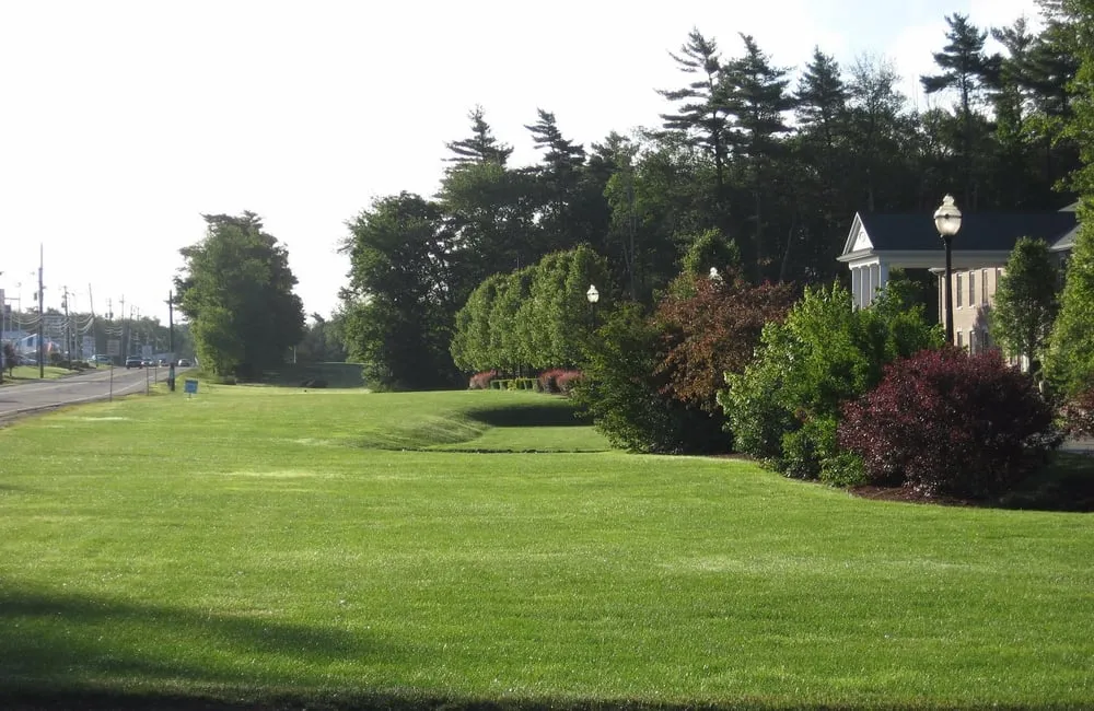 Custom yard cleanup service experts serving Raynham, MA - L & K Lawn Care Inc. landscaping and lawn maintenance