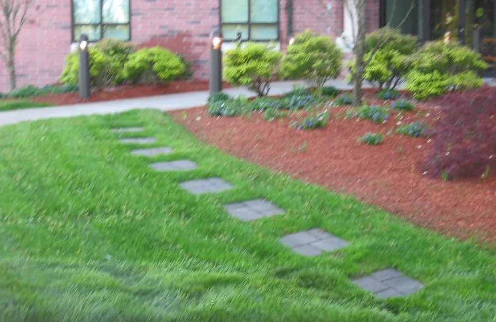 Professional lawn mowing service in Raynham, MA - L & K Lawn Care Inc. landscaping and lawn maintenance