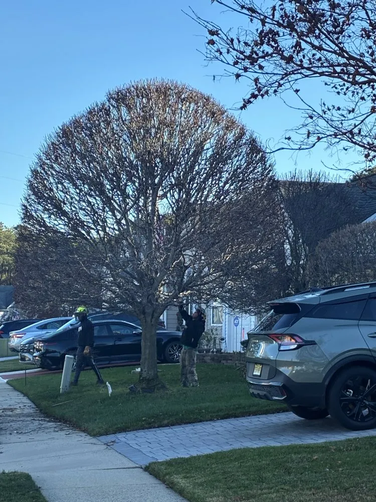 Affordable lawn care service in Barnegat, NJ by L & L