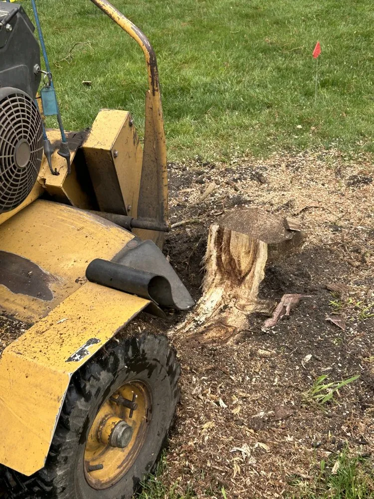 Reliable residential landscaping experts serving Barnegat, NJ - L & L