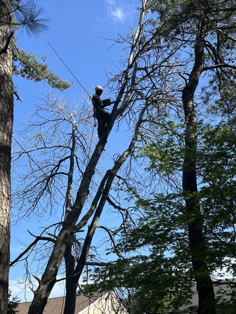 Custom lawn mowing service with custom design across Barnegat, NJ - L & L