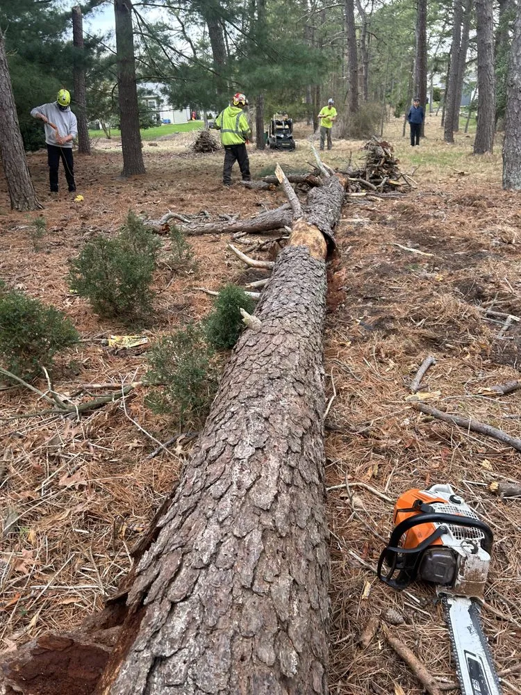 Local landscaping services with custom design in Barnegat, NJ by L & L