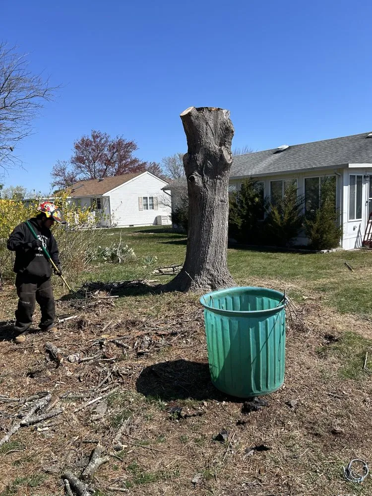 Trusted yard cleanup service experts serving Barnegat, NJ - L & L