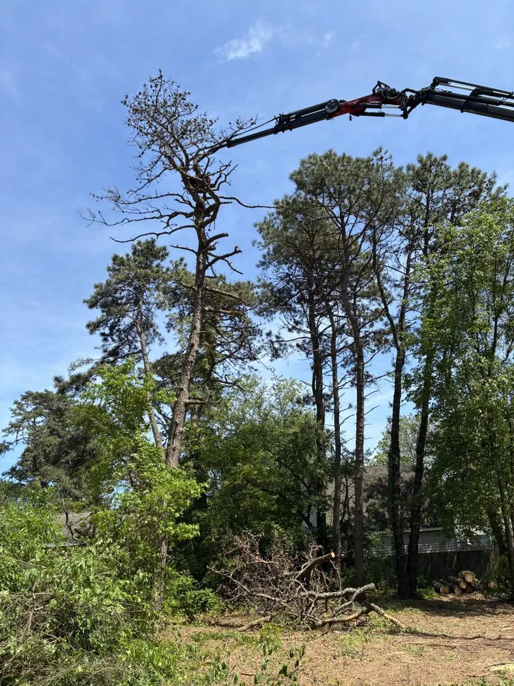 Reliable residential landscaping with custom design in Barnegat, NJ by L & L