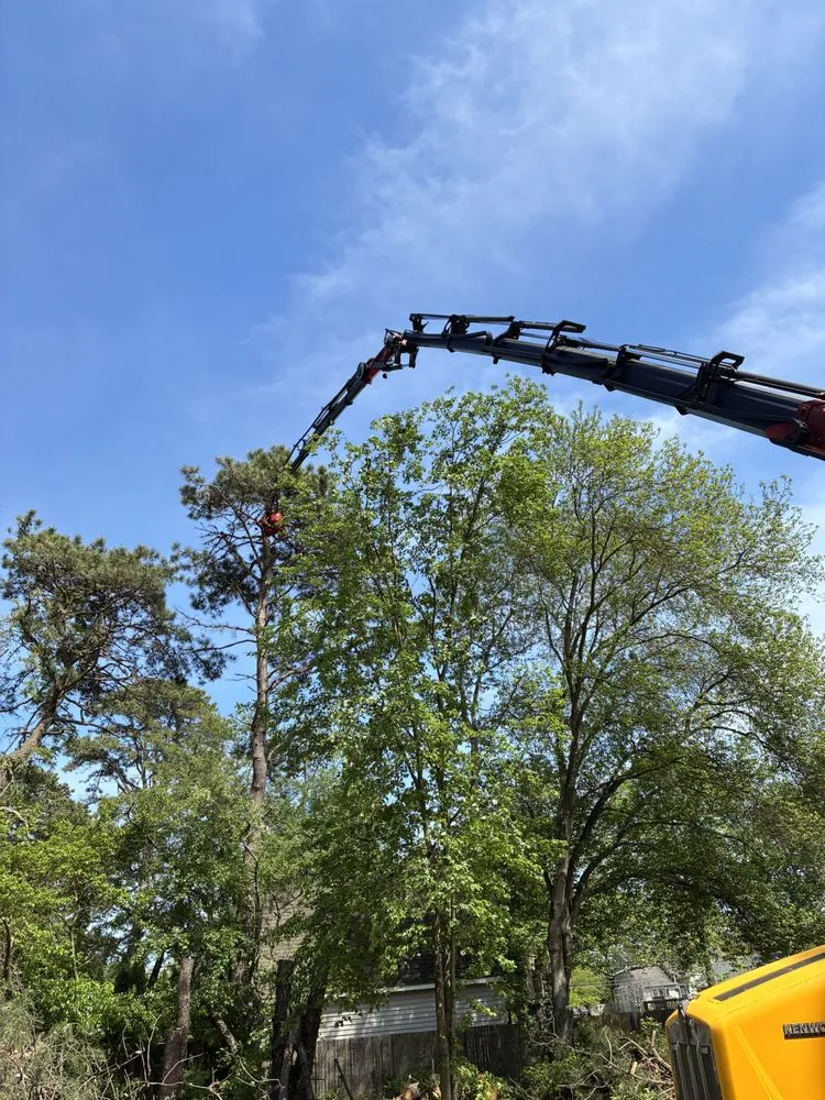 Top-rated landscape installation for beautiful yards across Barnegat, NJ - L & L