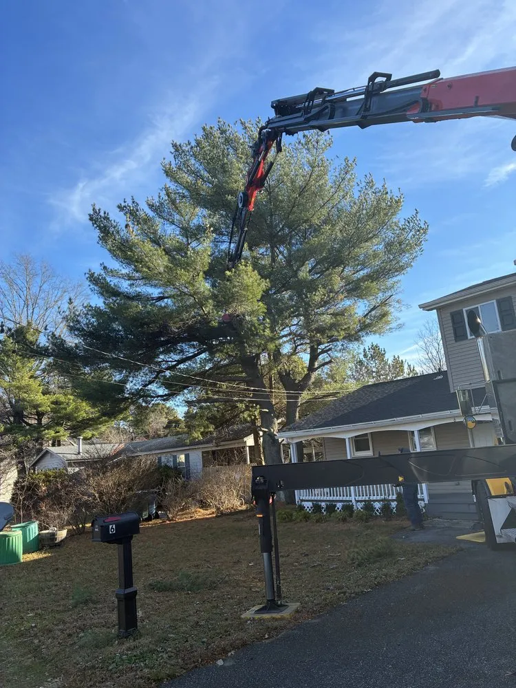 Professional garden landscaping in Barnegat, NJ by L & L