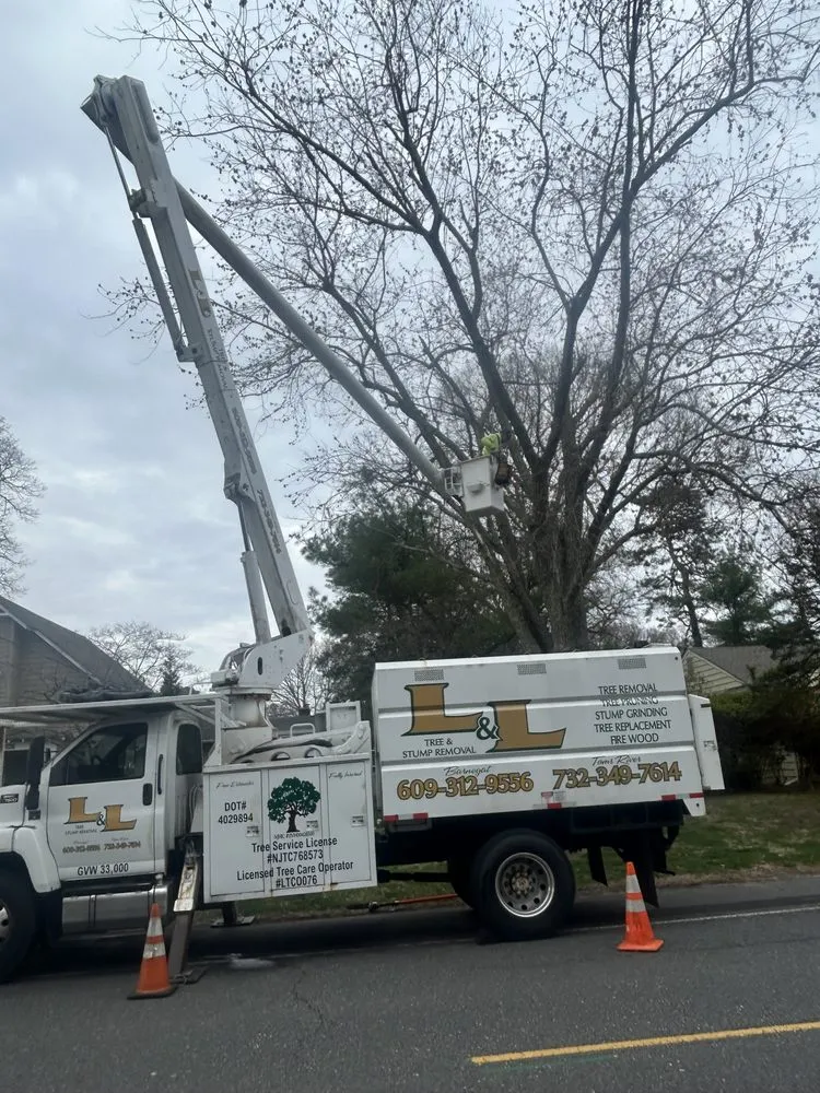 Affordable residential landscaping in Barnegat, NJ by L & L