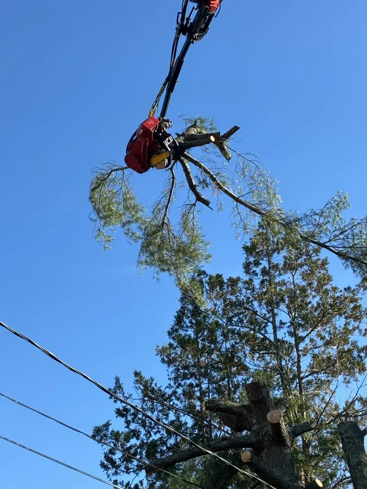 Top-rated landscaping services in Barnegat, NJ - L & L