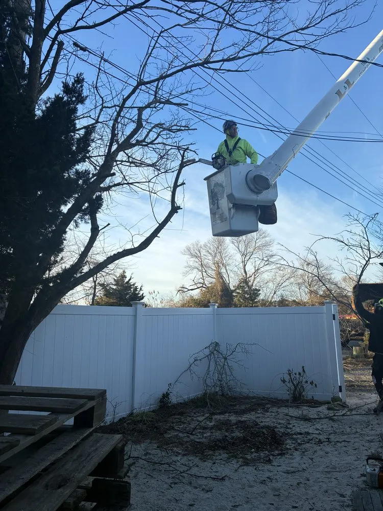 Expert landscape design in Barnegat, NJ by L & L