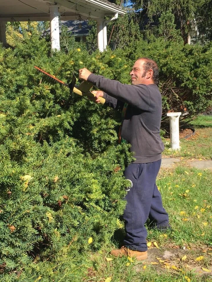 Top-rated yard maintenance for outdoor upgrades in Macedon, NY by L & L Father & Son Landscape