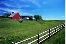 Local yard maintenance in Madison, VA by L & L Fencing