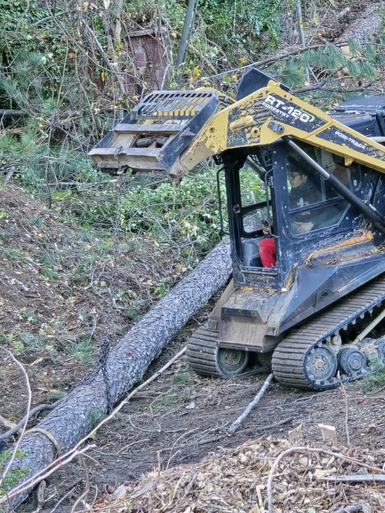 Local outdoor landscaping experts serving College Park, GA - L & L Land Management and Landscaping Company