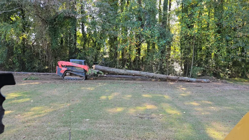 Top-rated lawn care service in College Park, GA by L & L Land Management and Landscaping Company
