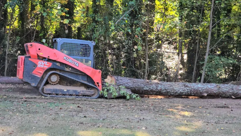 Custom yard cleanup service in College Park, GA by L & L Land Management and Landscaping Company