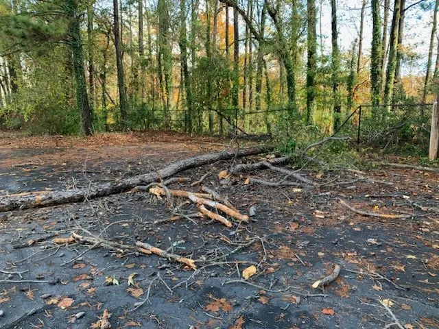 Top-rated landscape installation experts serving College Park, GA - L & L Land Management and Landscaping Company