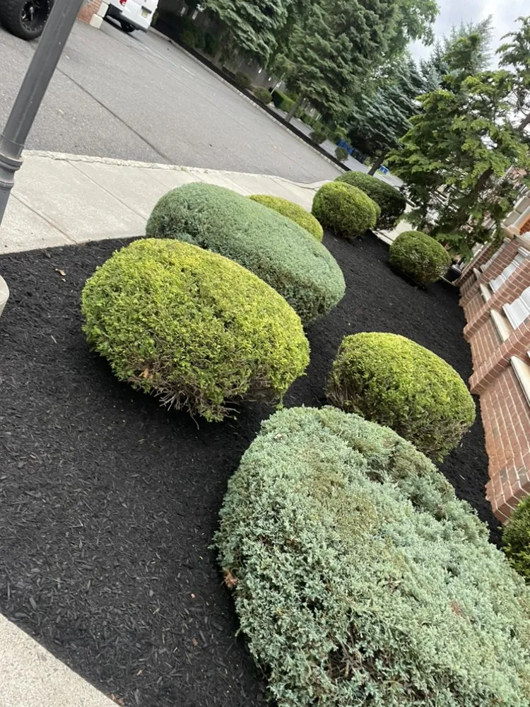 Custom outdoor landscaping for homes across Red Bank, NJ - L & L Landscaping