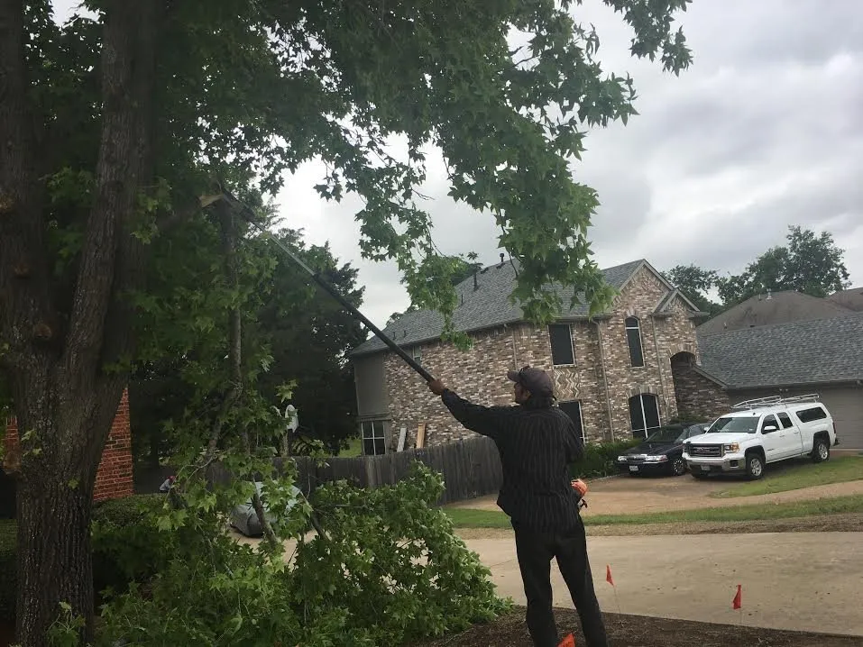 Reliable yard cleanup service in Red Oak, TX - L & L Landscaping Services