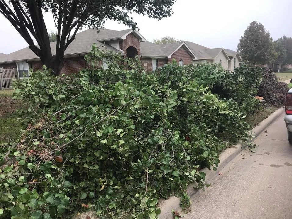 Professional lawn care service in Red Oak, TX by L & L Landscaping Services