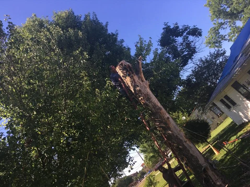 Local lawn mowing service for outdoor upgrades in Red Oak, TX by L & L Landscaping Services