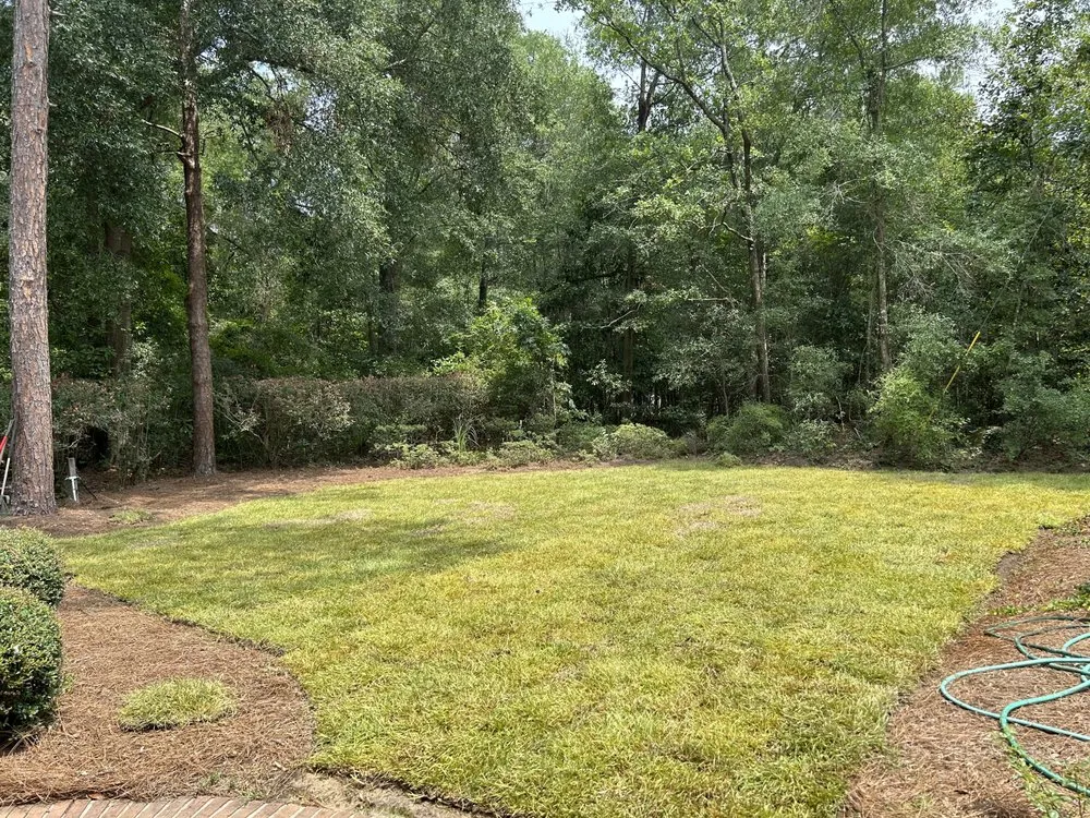 Local lawn care service in Myrtle Beach, SC - L & L Lawns