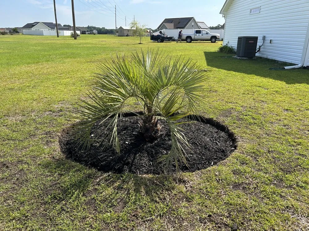 Professional yard cleanup service experts serving Myrtle Beach, SC - L & L Lawns