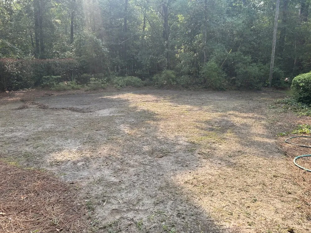 Local lawn mowing service in Myrtle Beach, SC - L & L Lawns