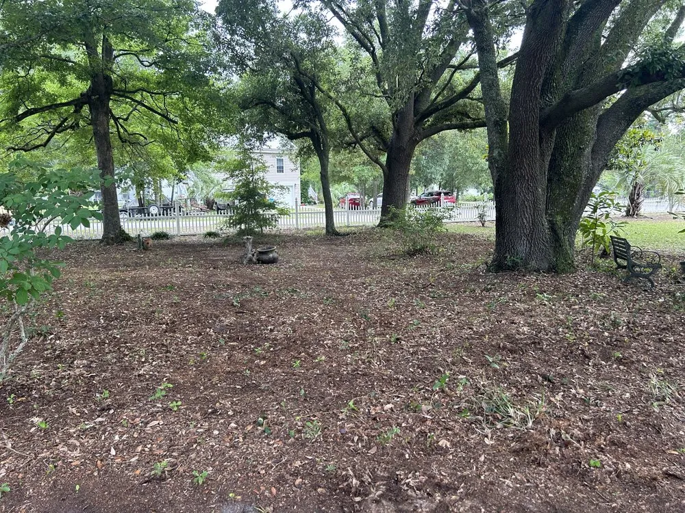 Top-rated garden landscaping in Myrtle Beach, SC - L & L Lawns