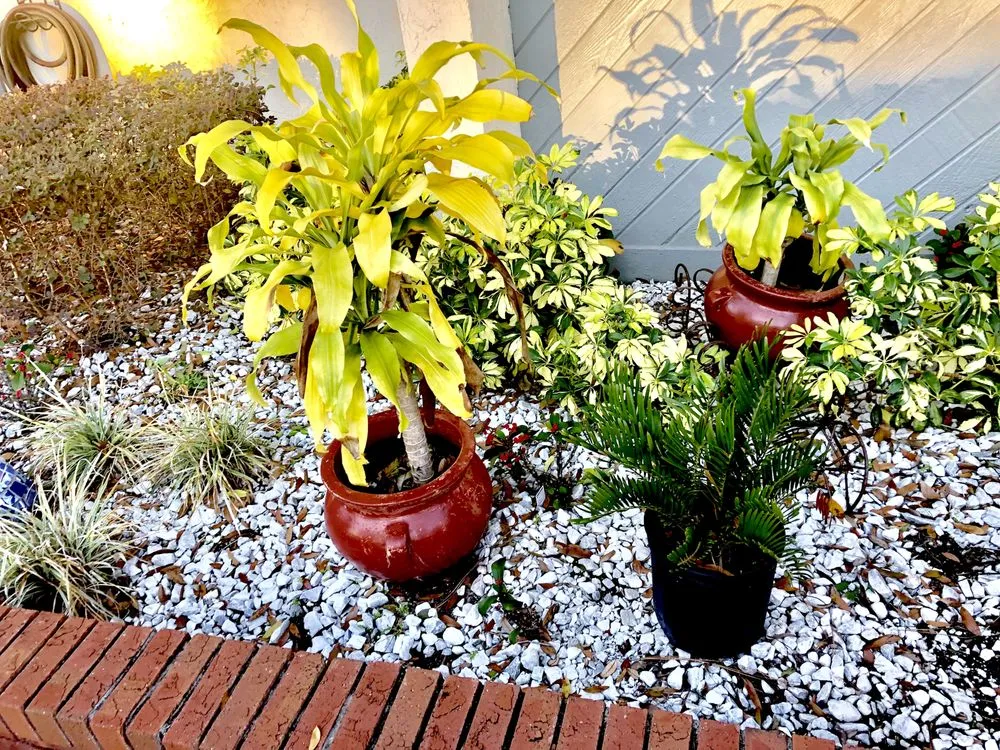 Reliable landscape design for beautiful yards in Coatesville, PA by L & M Contractors