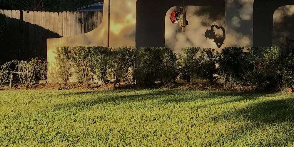 Custom lawn care service experts serving Coatesville, PA - L & M Contractors