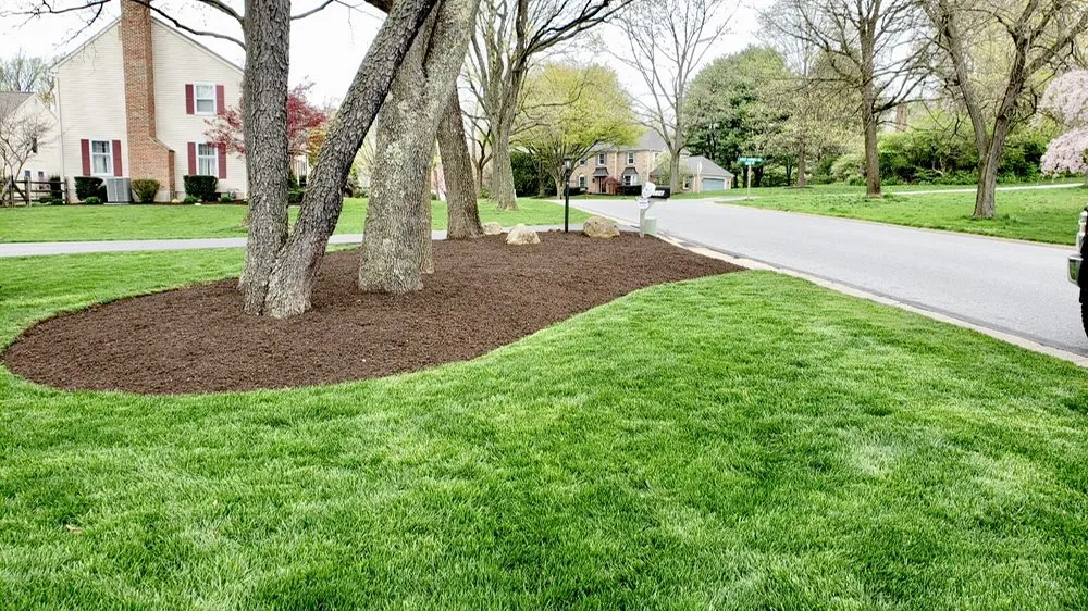 Local lawn care service in Coatesville, PA - L & M Contractors