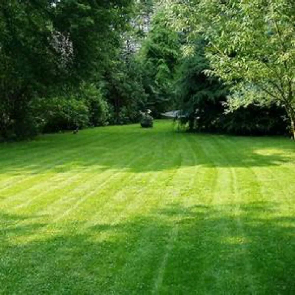 Trusted landscape design with custom design in Live Oak, FL by L & M Lawn Care