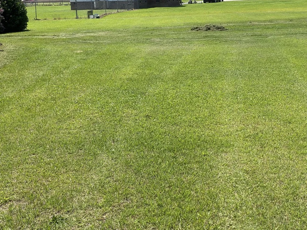 Reliable landscape design experts serving Parkton, NC - L & M Lawn Care