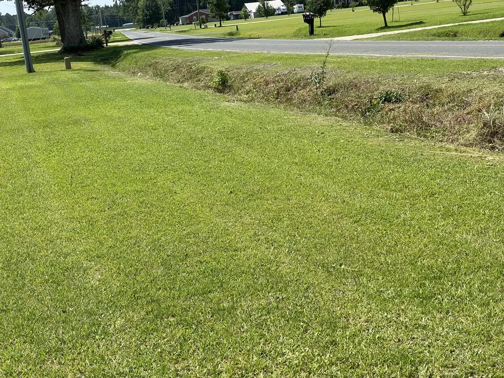 Custom yard cleanup service for homes across Parkton, NC - L & M Lawn Care