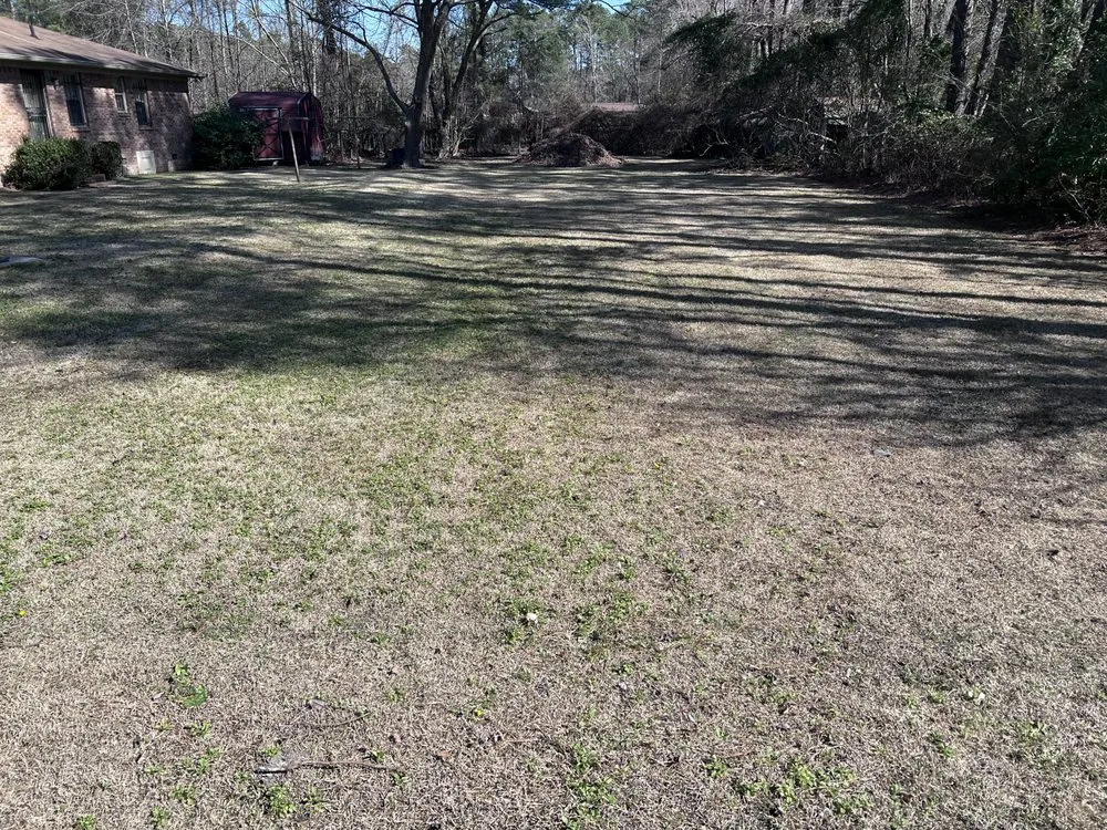 Local lawn care service for outdoor upgrades across Parkton, NC - L & M Lawn Care