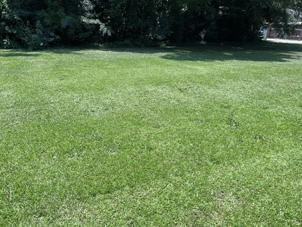 Local landscape design for beautiful yards across Parkton, NC - L & M Lawn Care