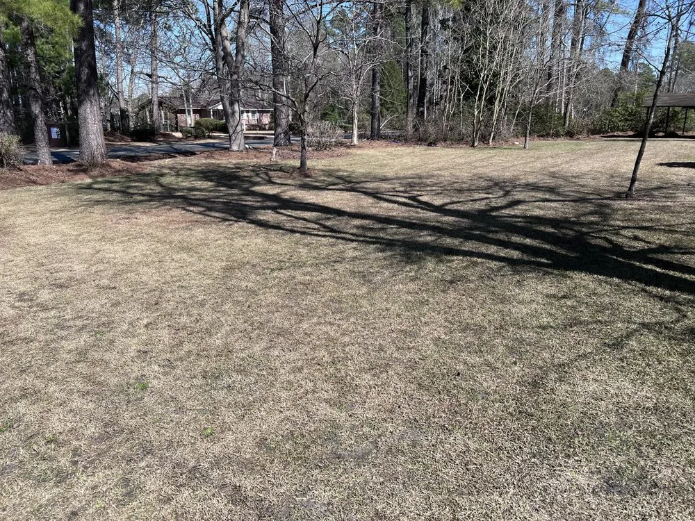 Custom yard cleanup service experts serving Parkton, NC - L & M Lawn Care
