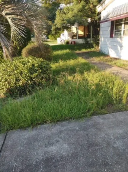 Top-rated landscape installation in Inverness, FL - L & M property management