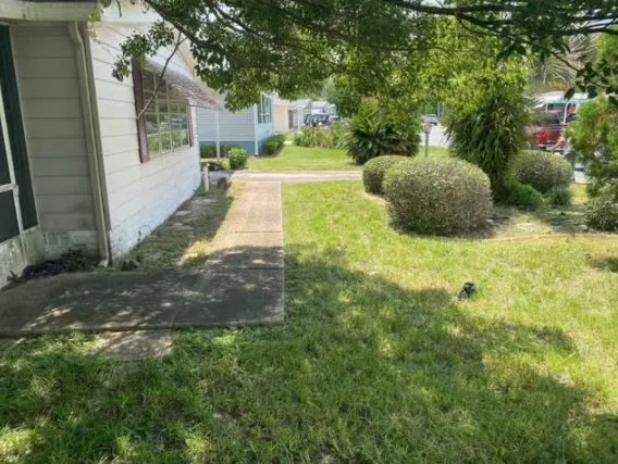 Local lawn care service for beautiful yards in Inverness, FL by L & M property management