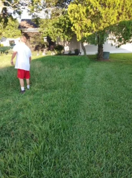 Expert yard cleanup service for homes in Inverness, FL by L & M property management