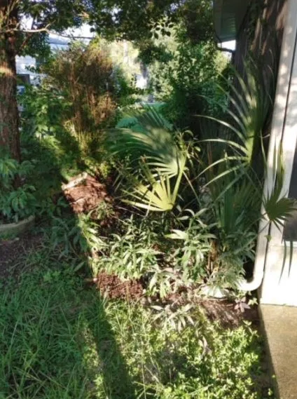 Trusted yard maintenance in Inverness, FL by L & M property management