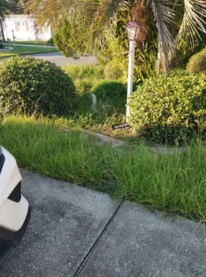 Reliable garden landscaping in Inverness, FL by L & M property management